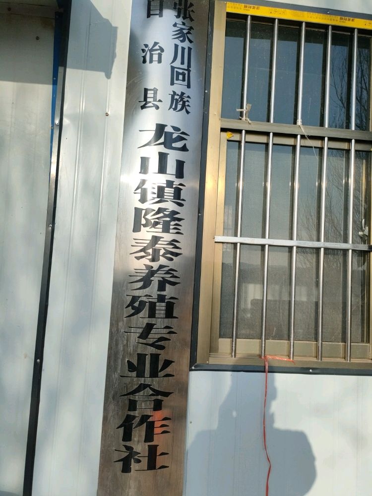 张家川回族自治县龙山镇隆泰养殖专业合作社