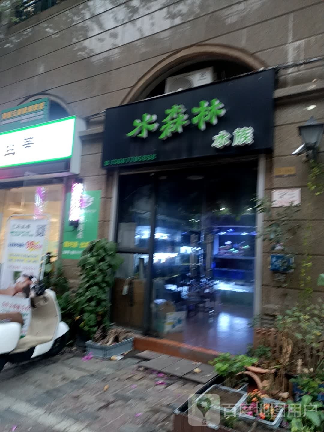 水森林水族(龙光·普罗旺斯拉菲庄园店)