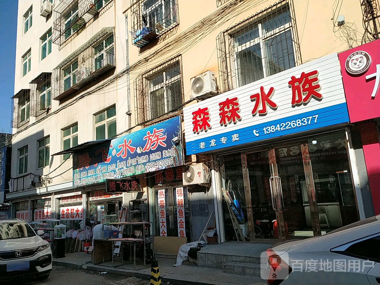 森森水族(中街路店)