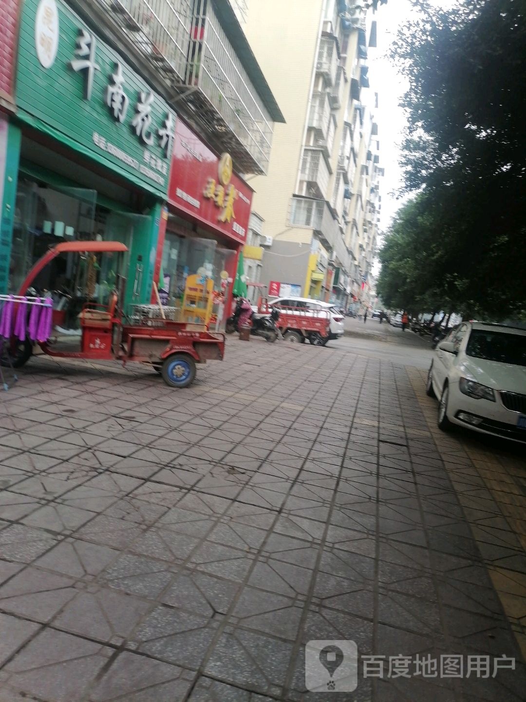 昆明斗南花卉(星河湾店)