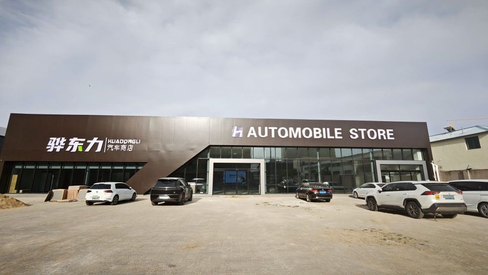 骅东力汽车商店