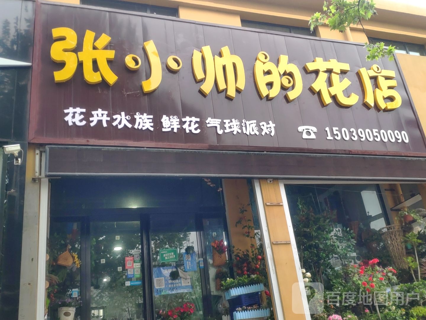 登封市小帅的花店