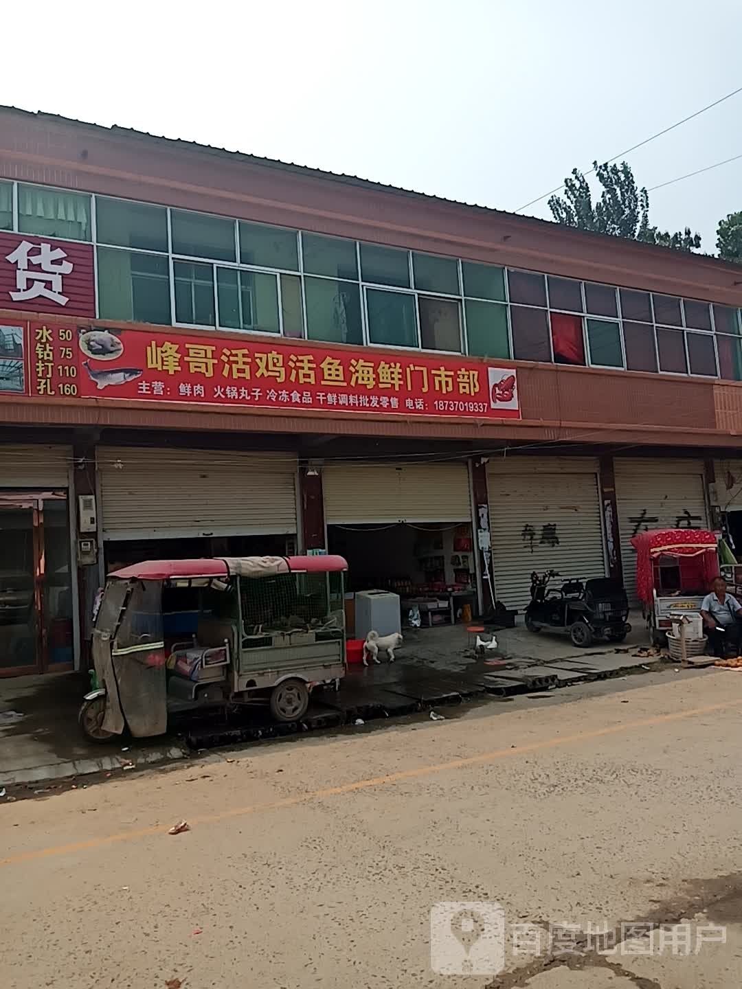 峰哥活鸡活鱼海