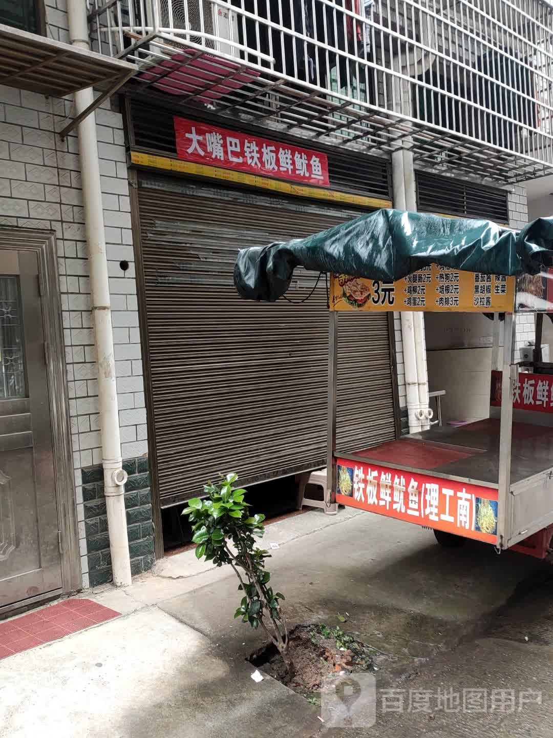 大嘴巴钢板鲜鱿鱼