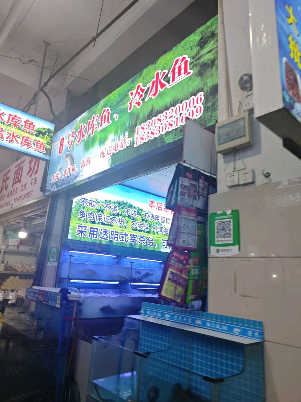8号水库鱼,冷水鱼