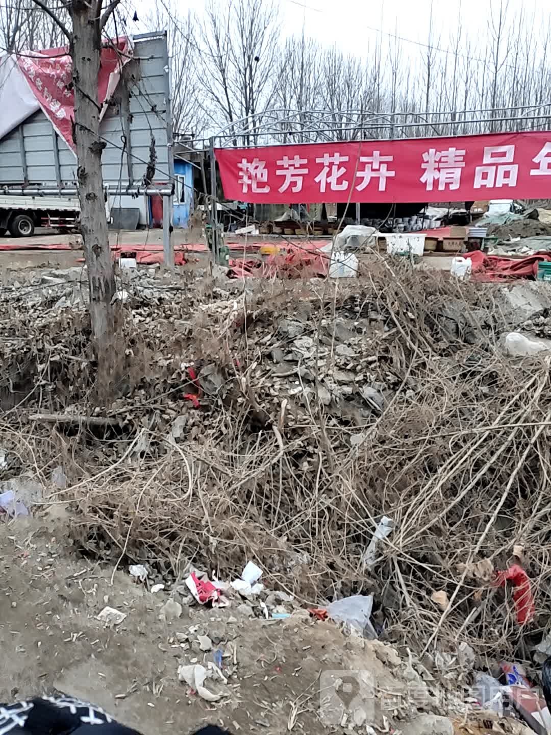 艳芳花卉