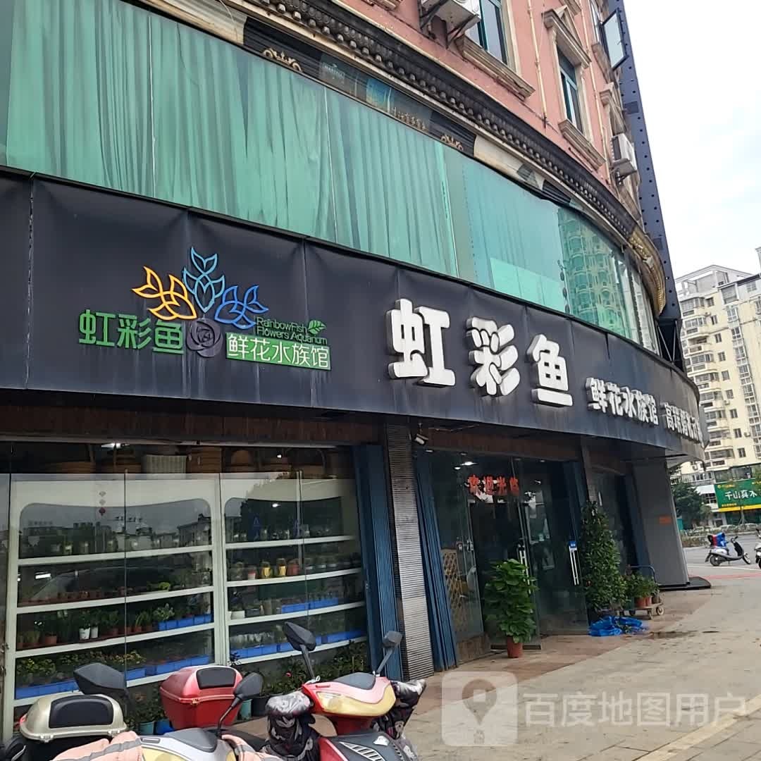 虹轨鱼责彩鲜花水族馆(财富广场店)