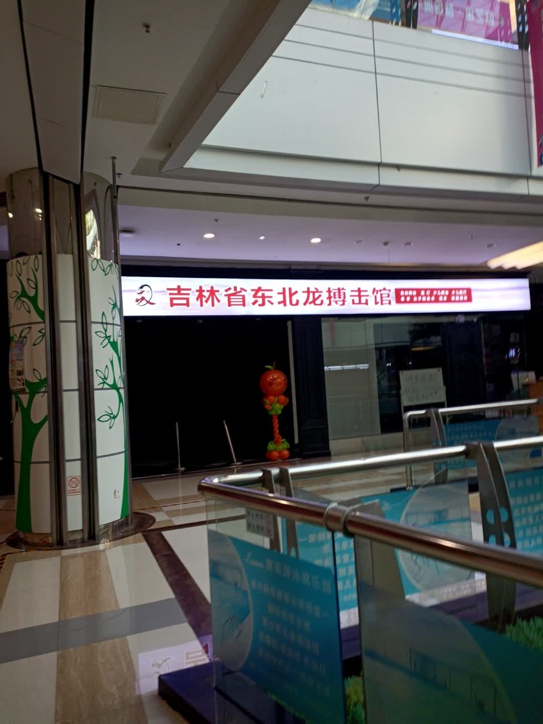 吉林省东北龙搏击馆(欧亚广场嫩江路店)