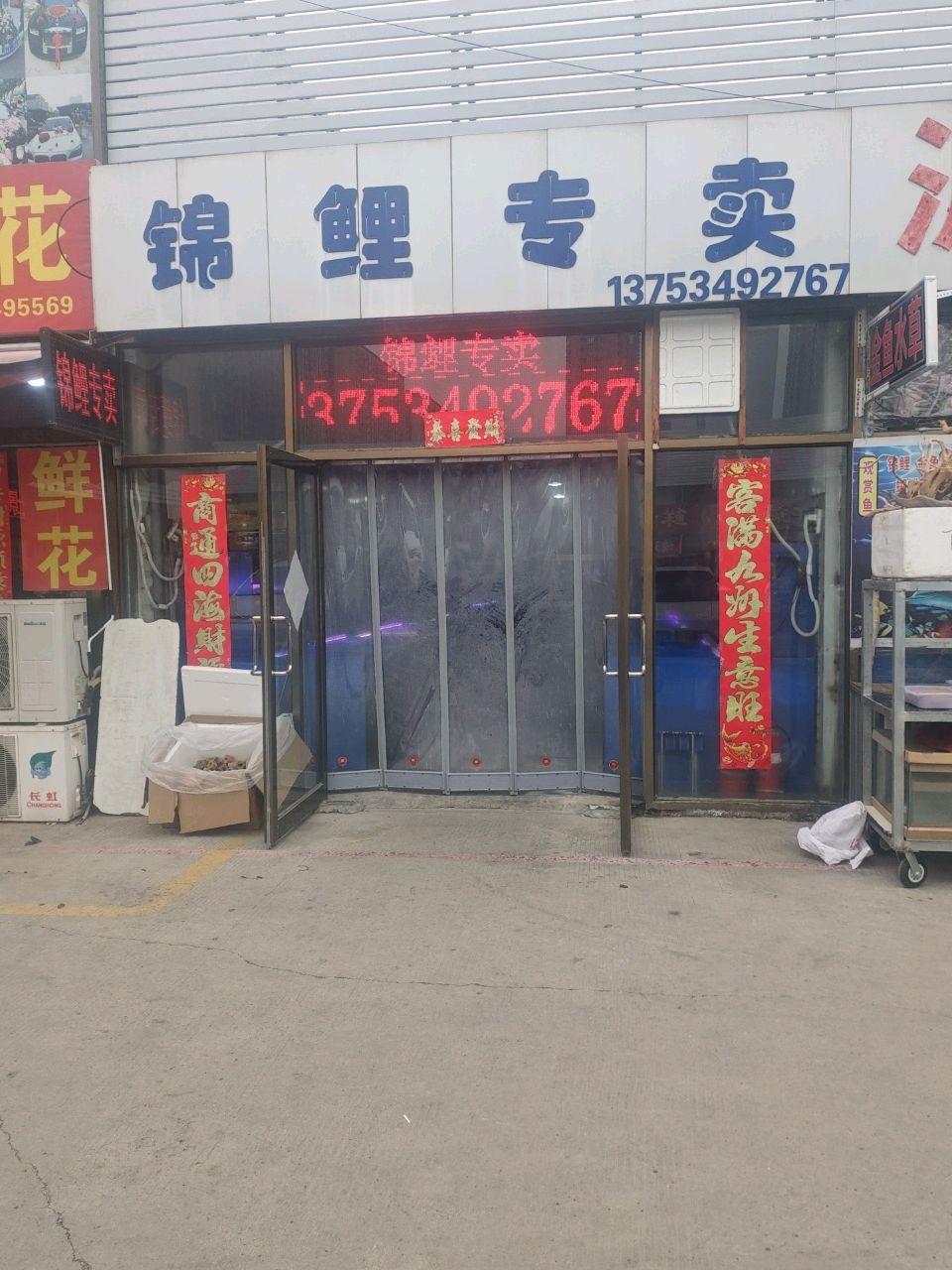 锦鲤专卖