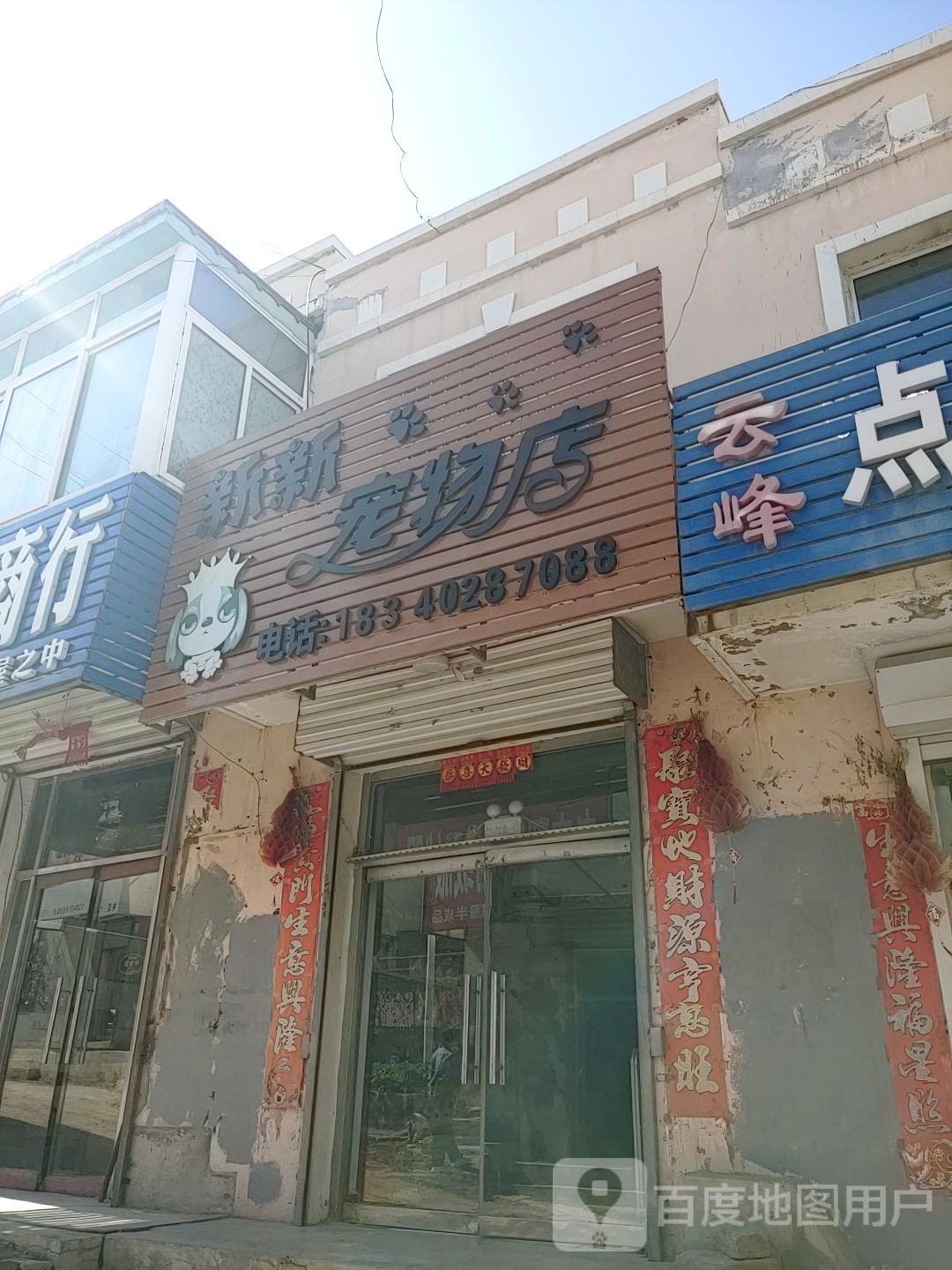 新新宠物店