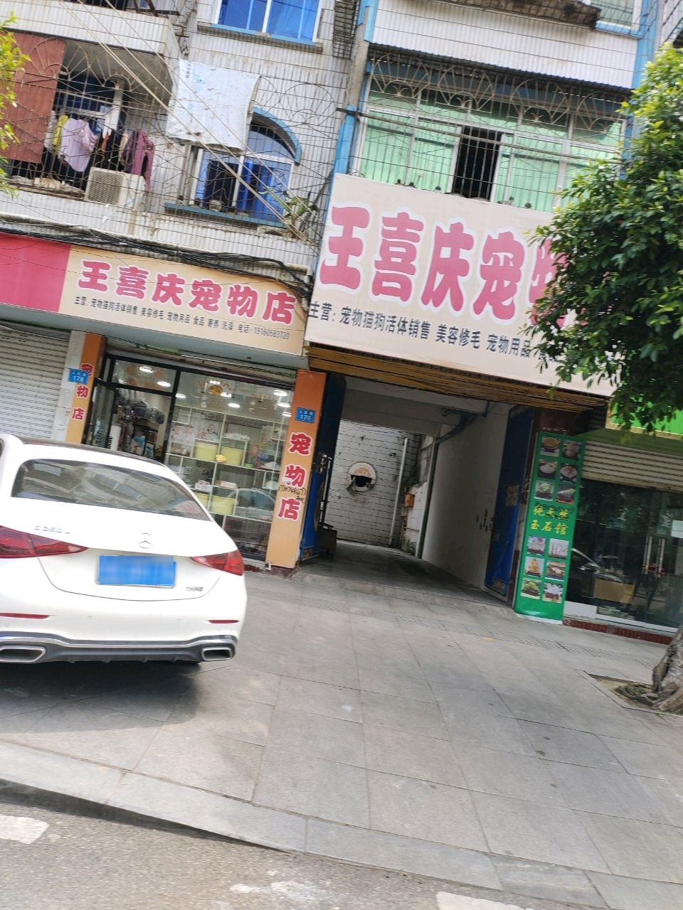 王喜庆宠物店