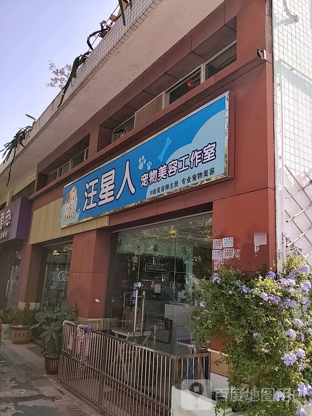 汪星人宠物美容工作室