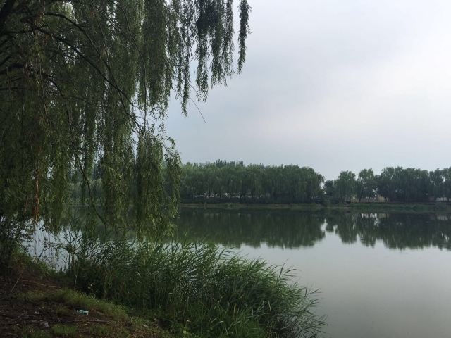 湖景温泉