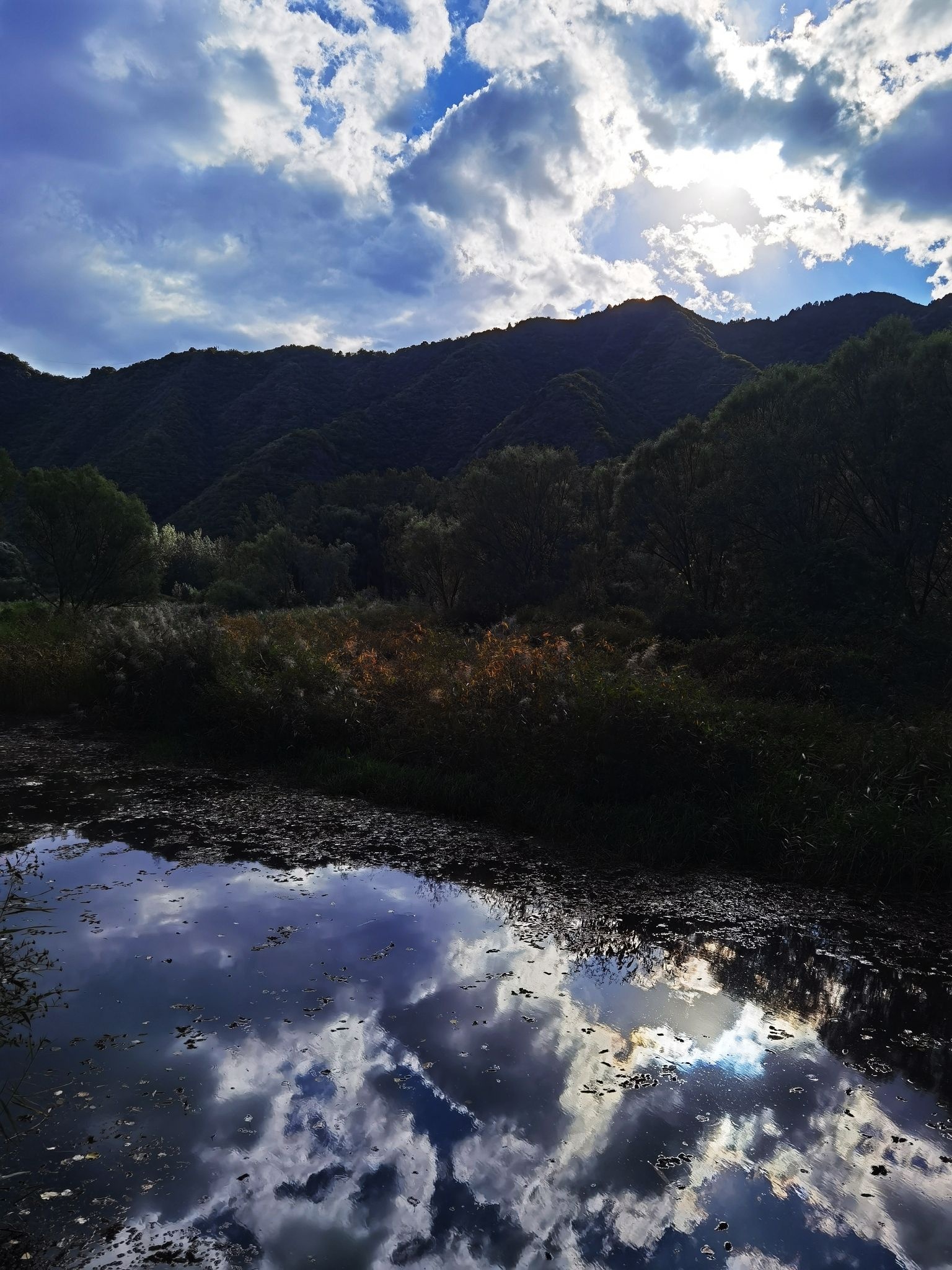 白河湿地生态公园