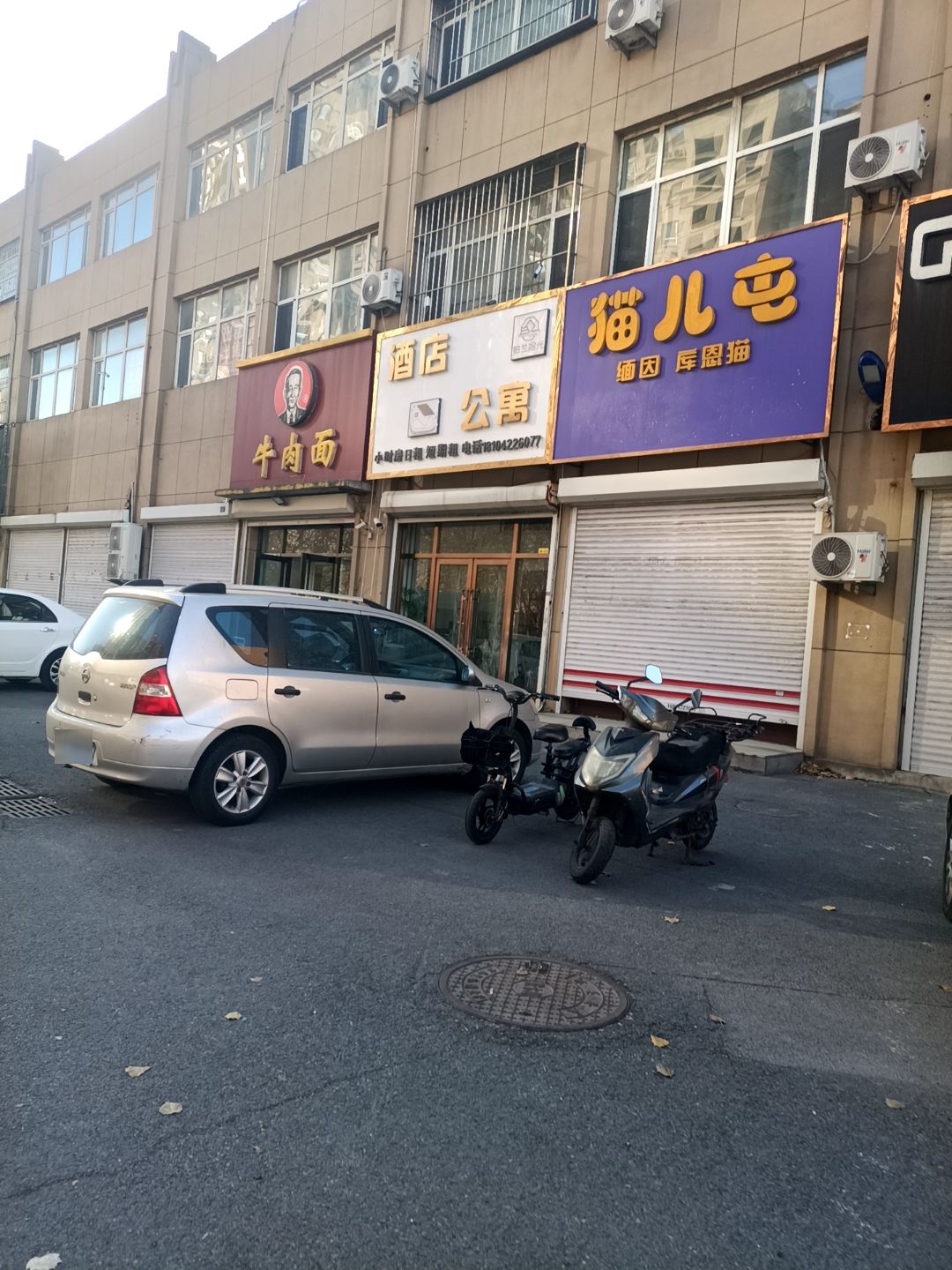 猫儿屯缅因猫会馆