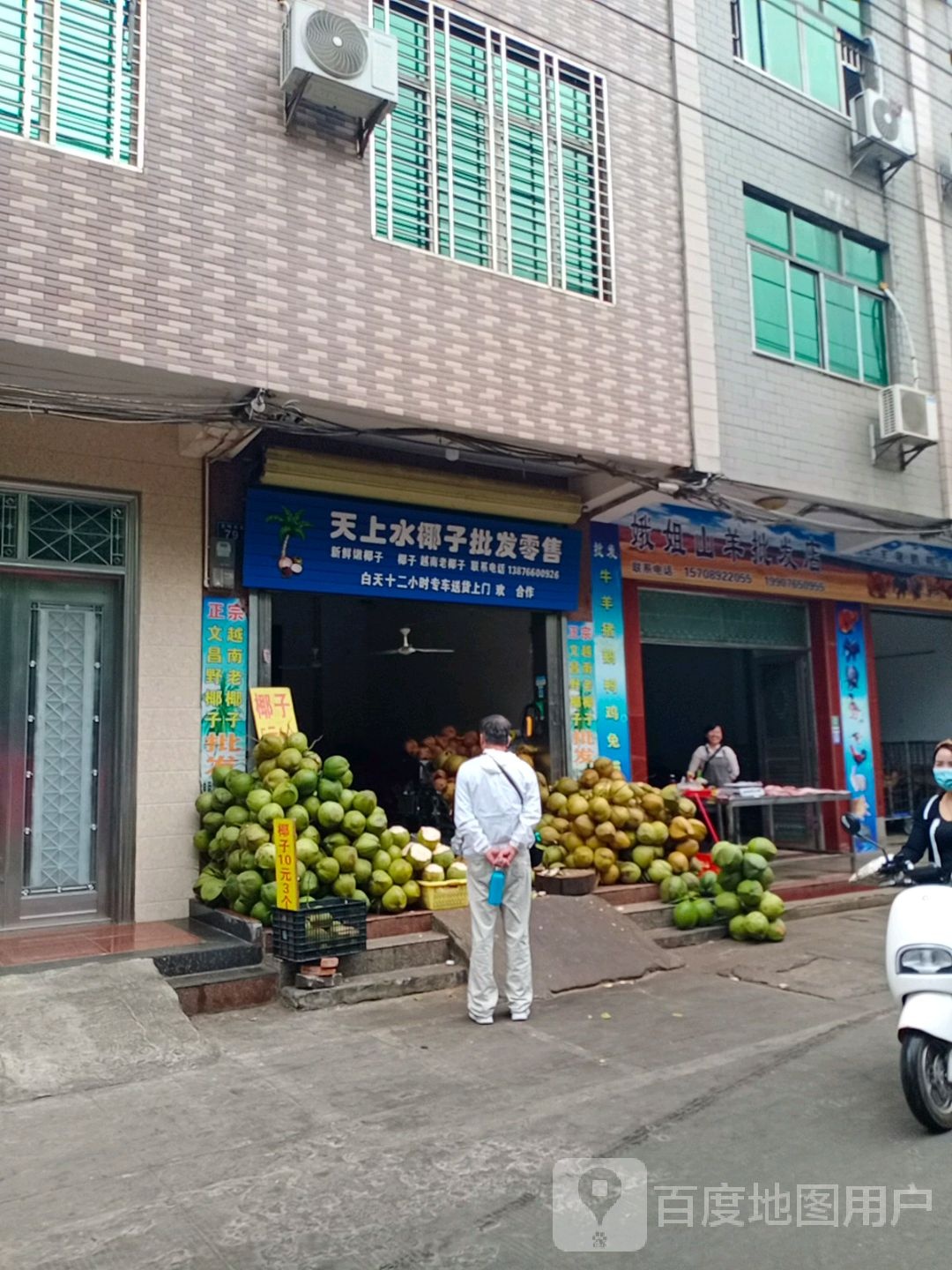天上水椰子批发零售