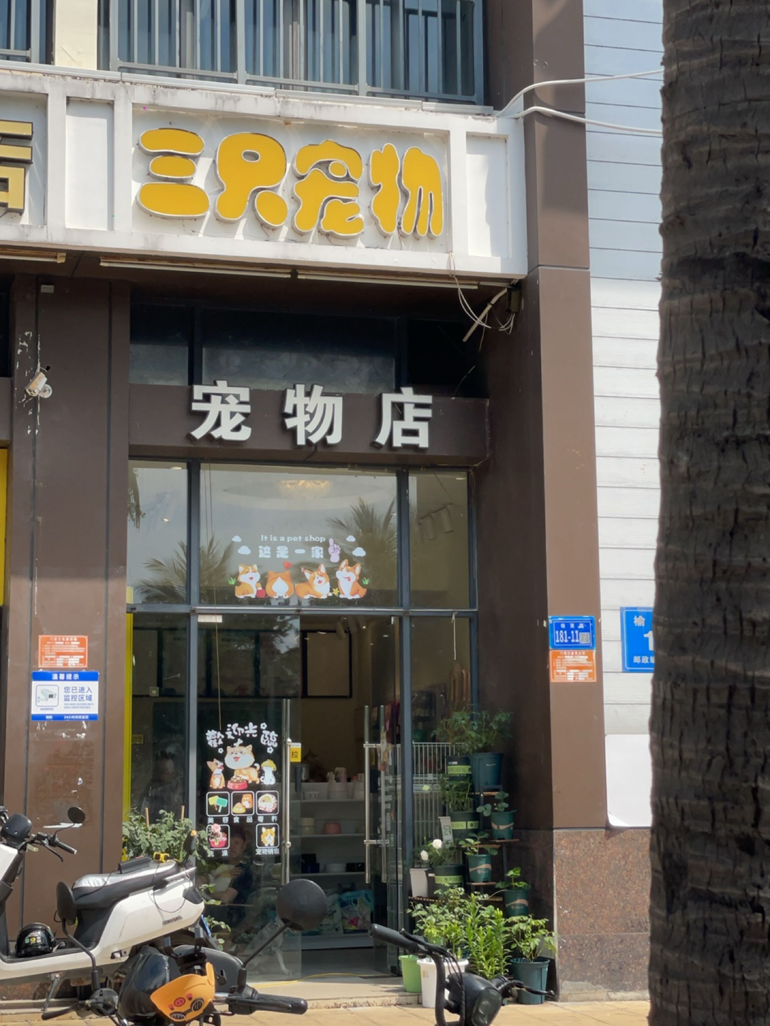 三只宠物(大东海店)