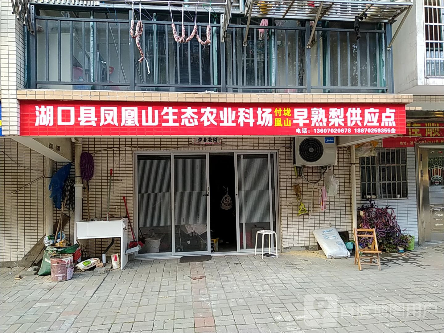 湖口县凤凰山生态农业科技场早熟梨基地