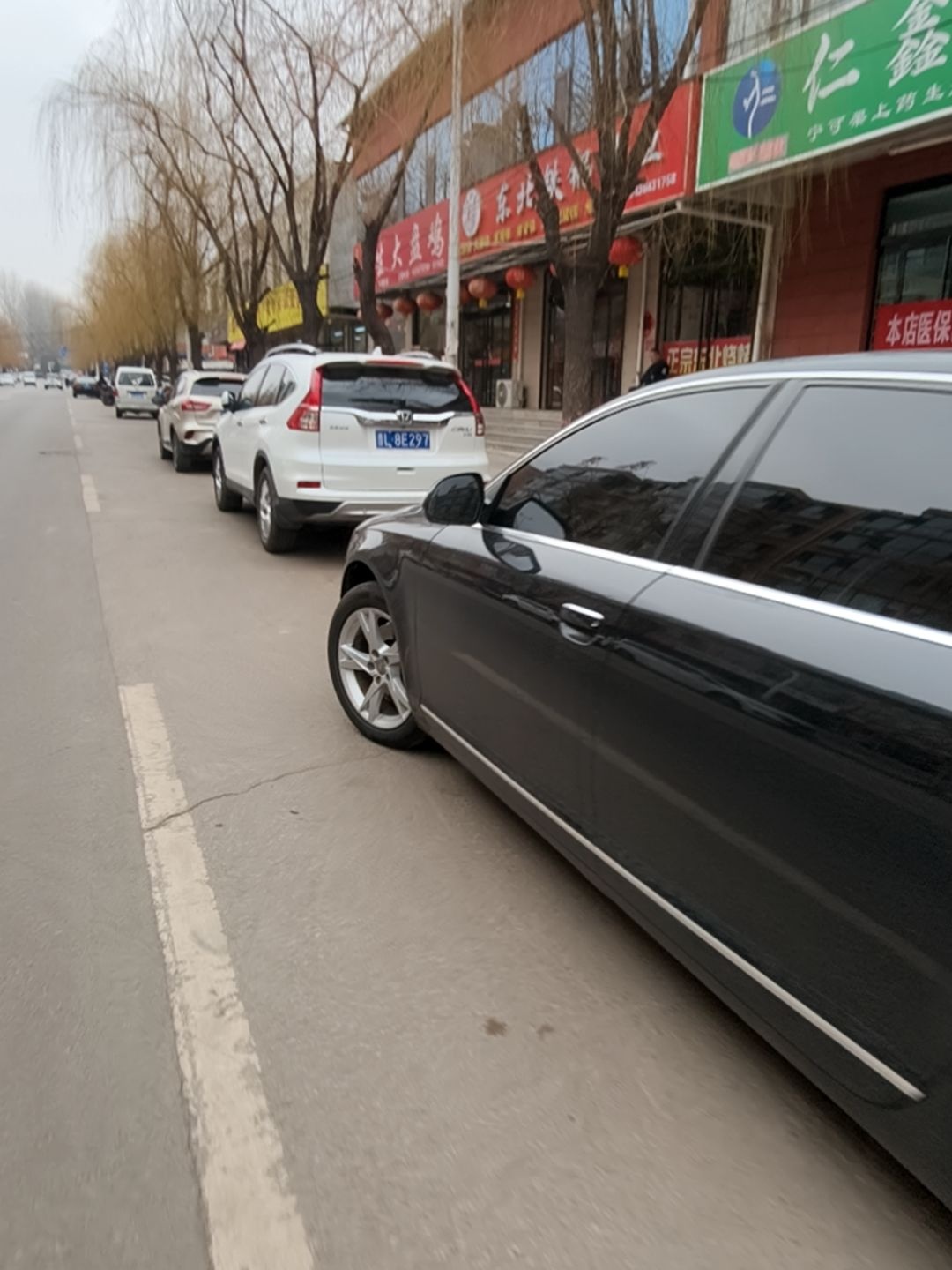 东北铁锅炖鱼