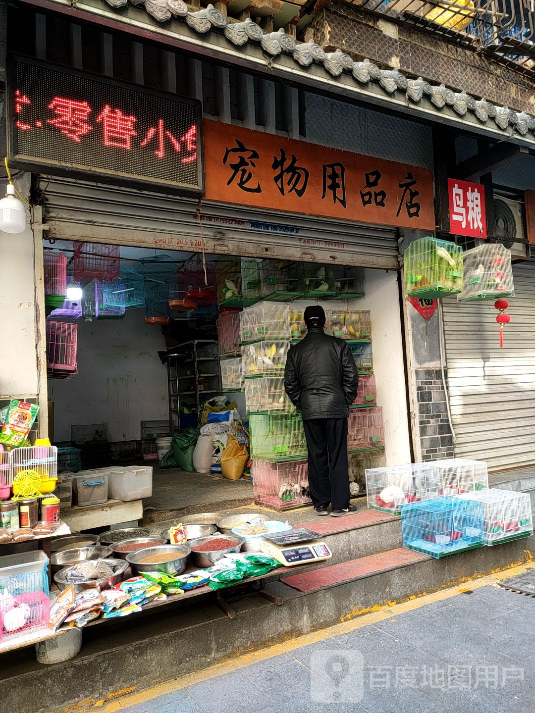 宠物宠物用品店