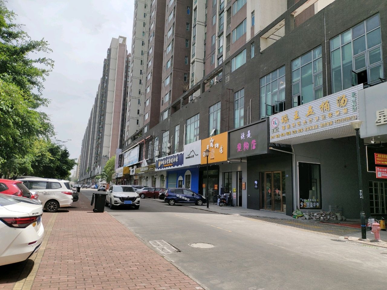 这里宠物店