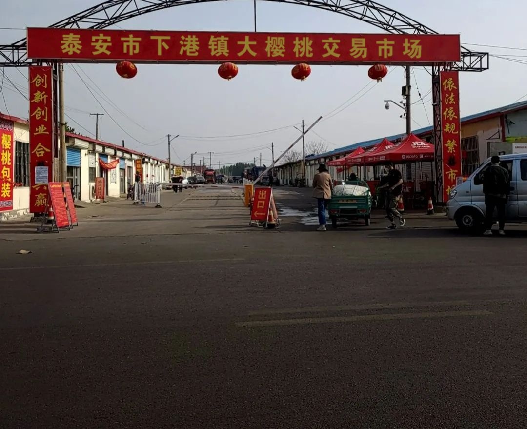 泰安市下港镇大樱桃交易市场