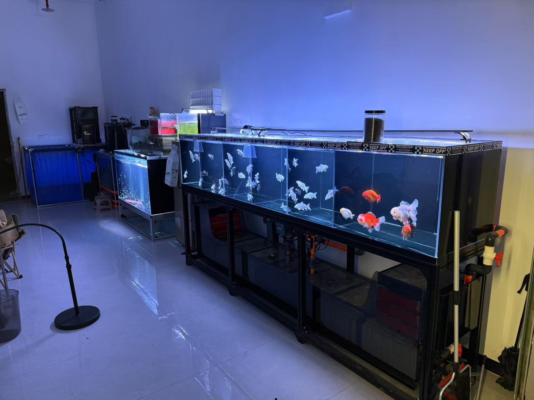兴润水族馆