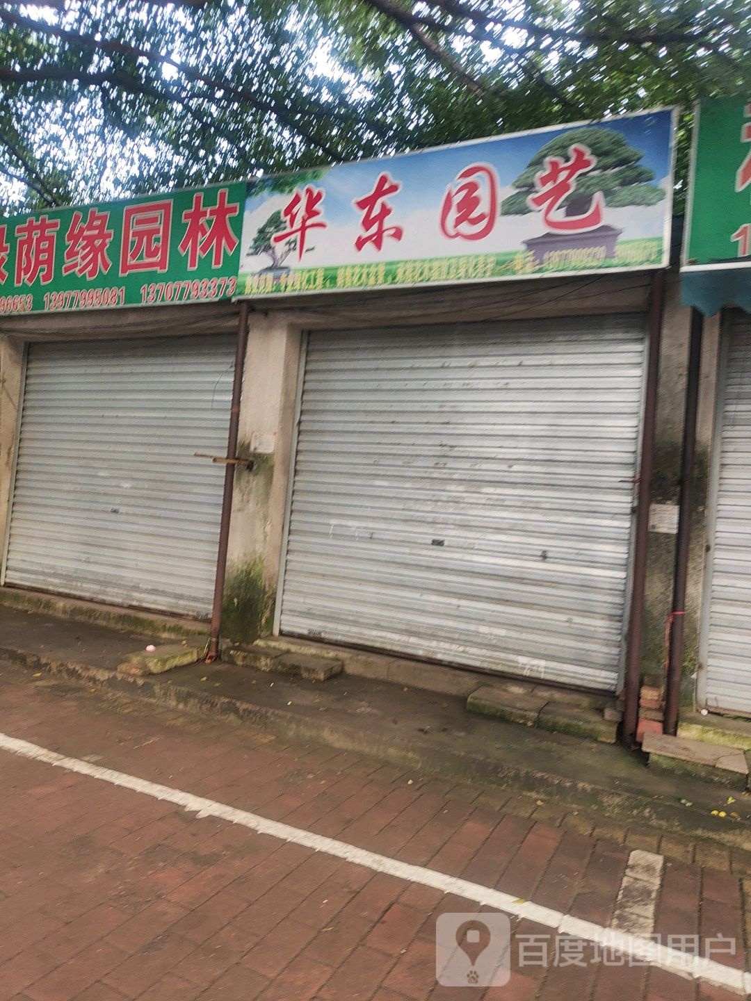 华东园艺(重庆路店)