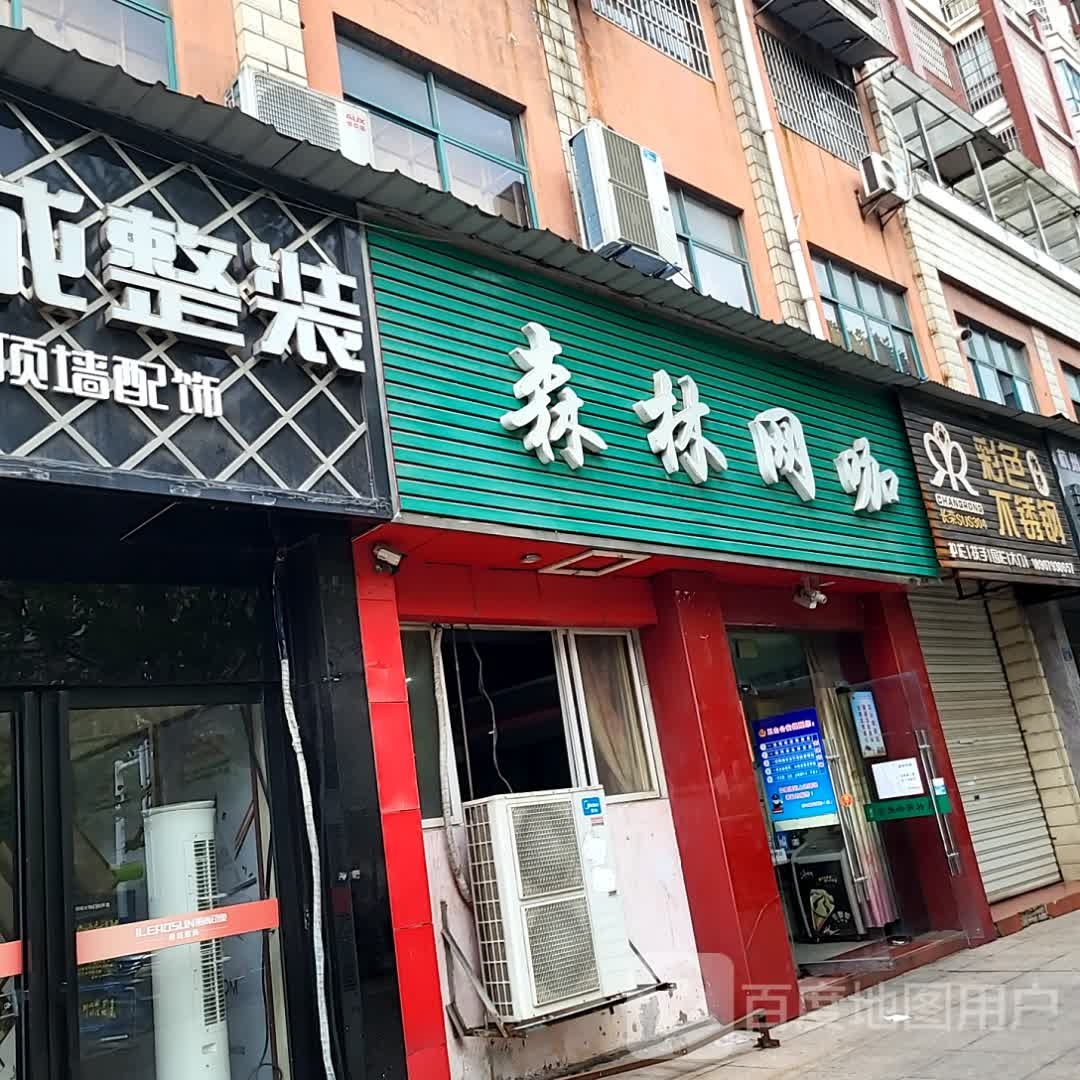 森林网卡(壹号广场店)