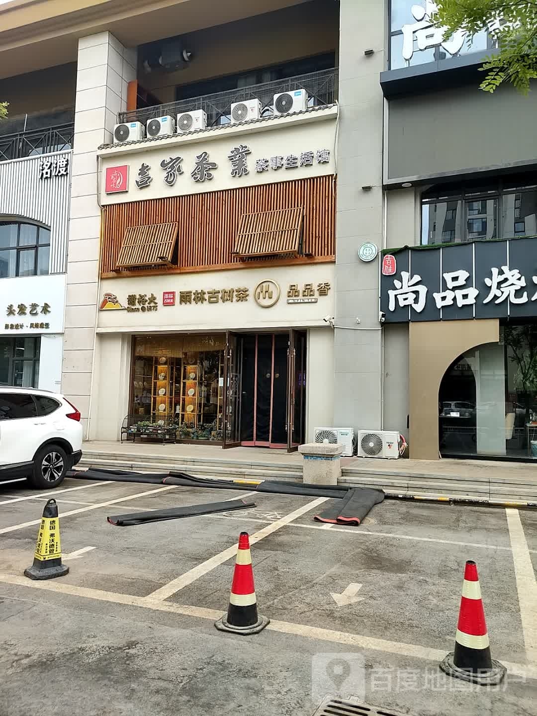 谢裕大雨林古树茶品品香
