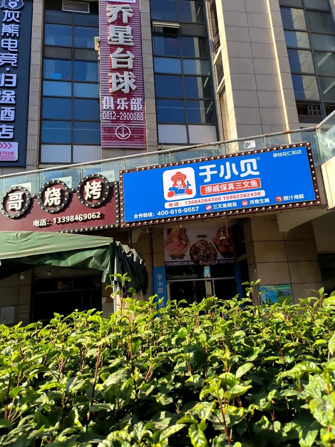 于小贝挪威保真三文鱼(攀枝花仁和店)
