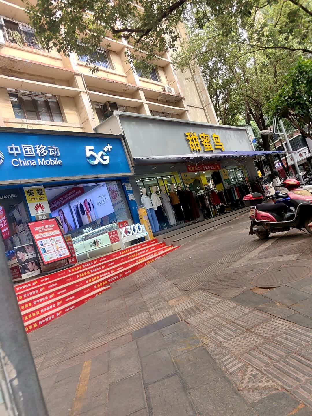 甜蜜鸟