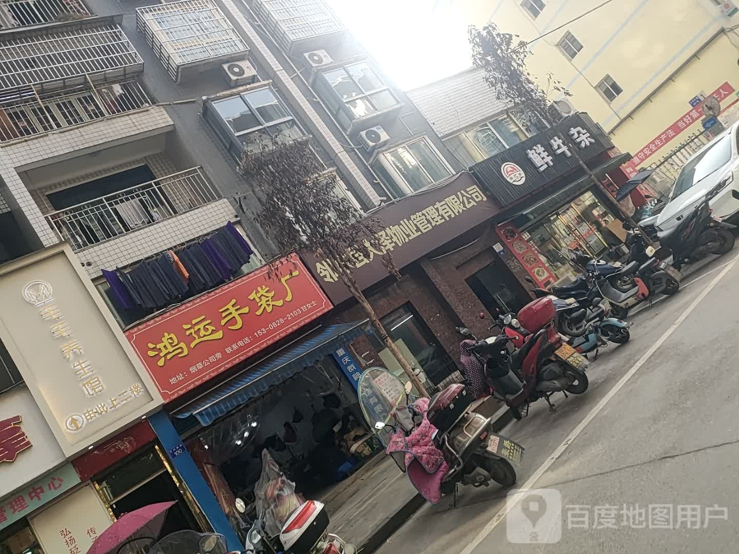 猫猫养生馆