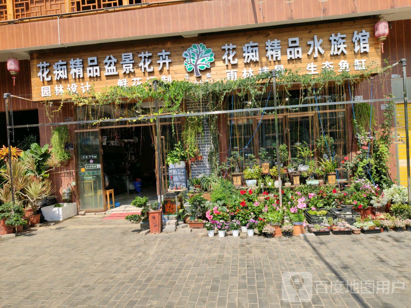 花痴饰品花卉水族馆