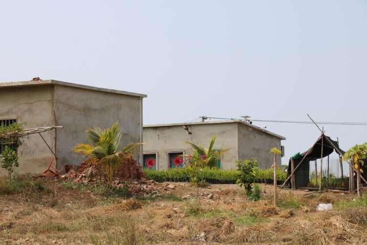 海南省丹若农业晨希软籽石榴基地