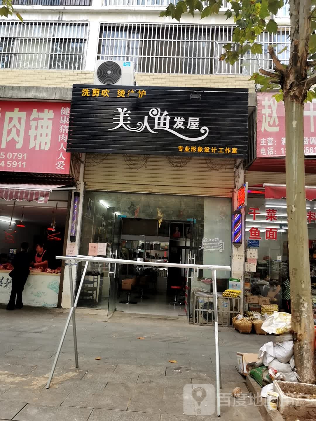 美人鱼法无