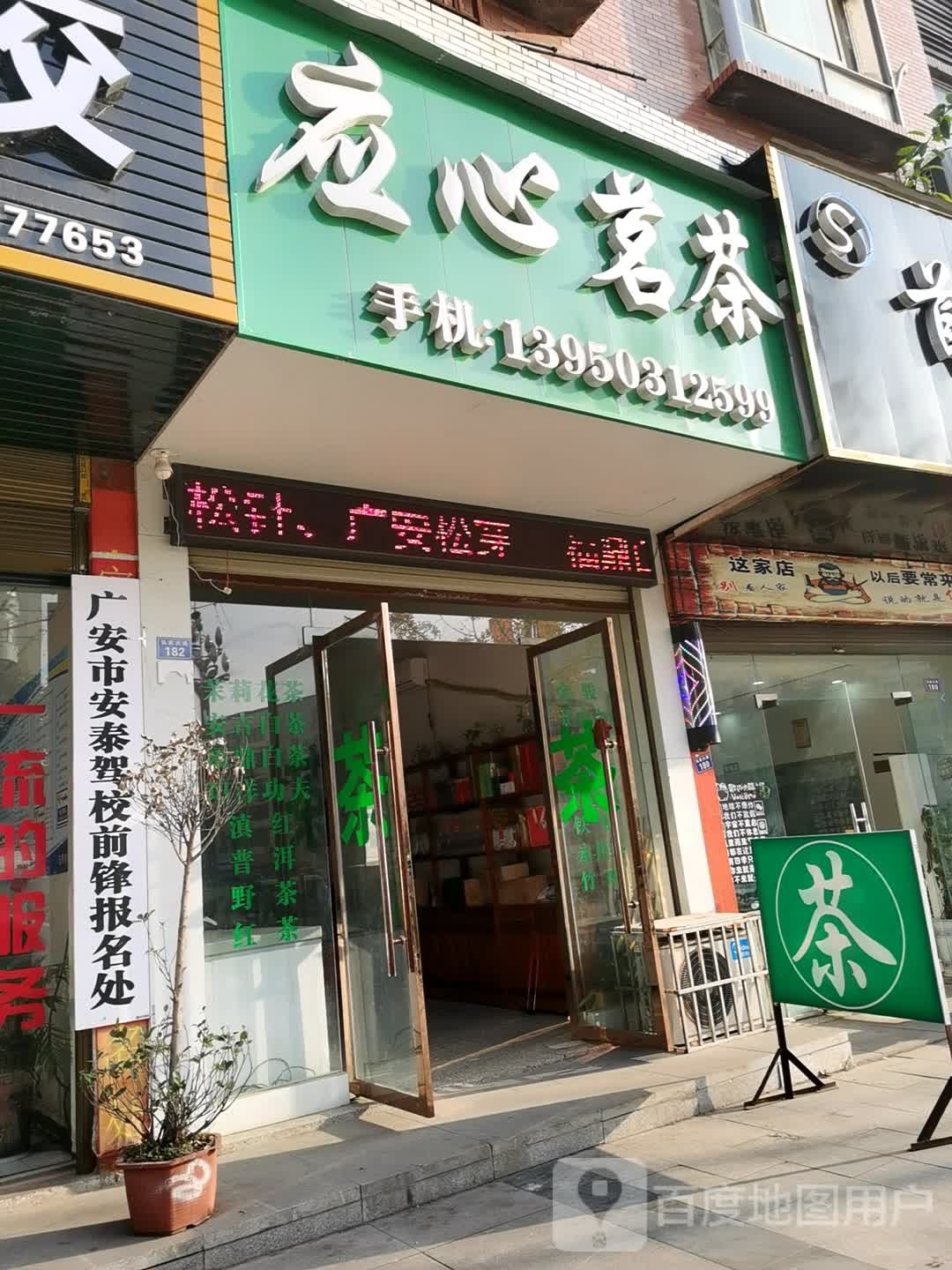 应心茗茶