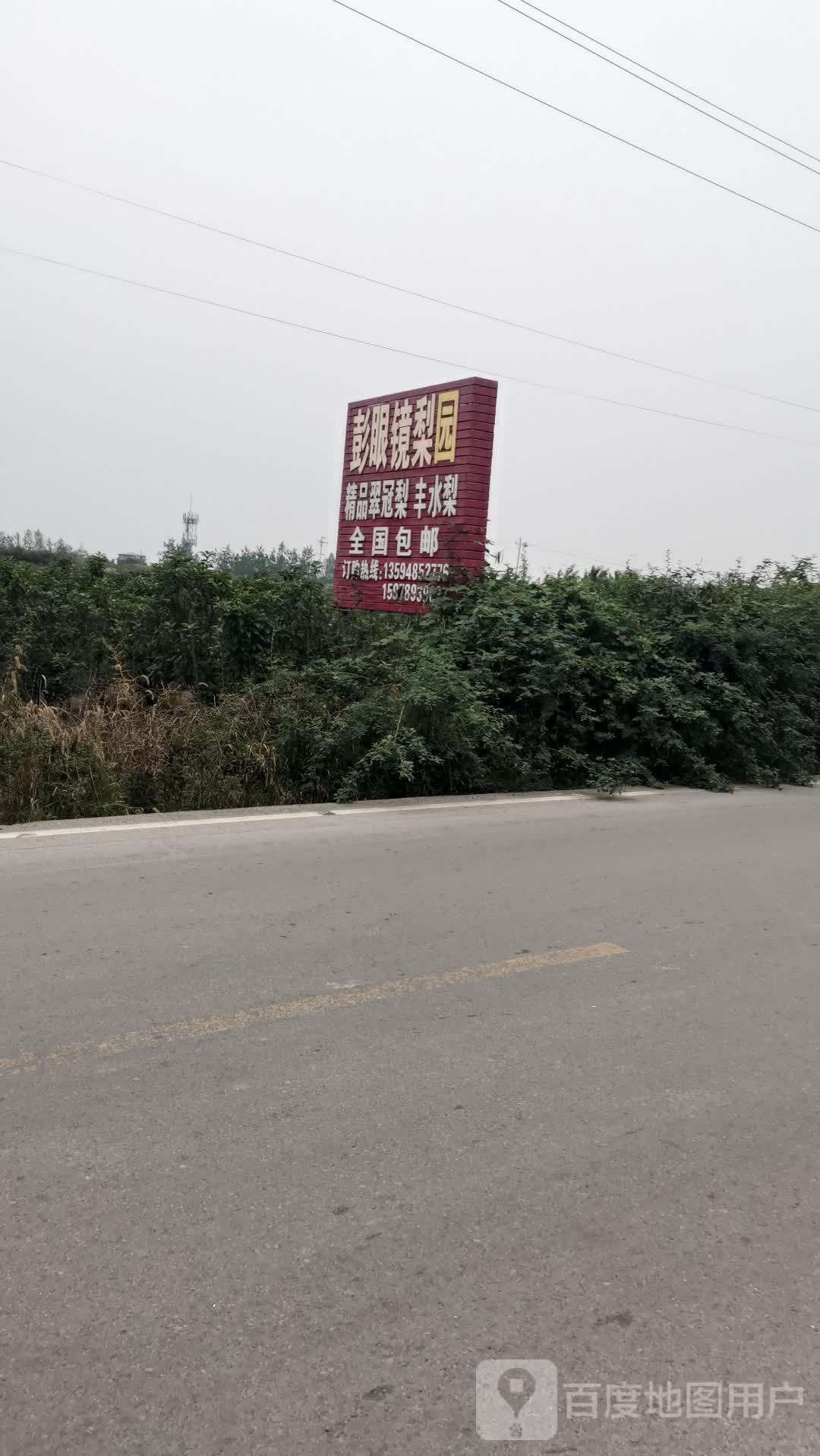 梁平区彭眼镜梨园