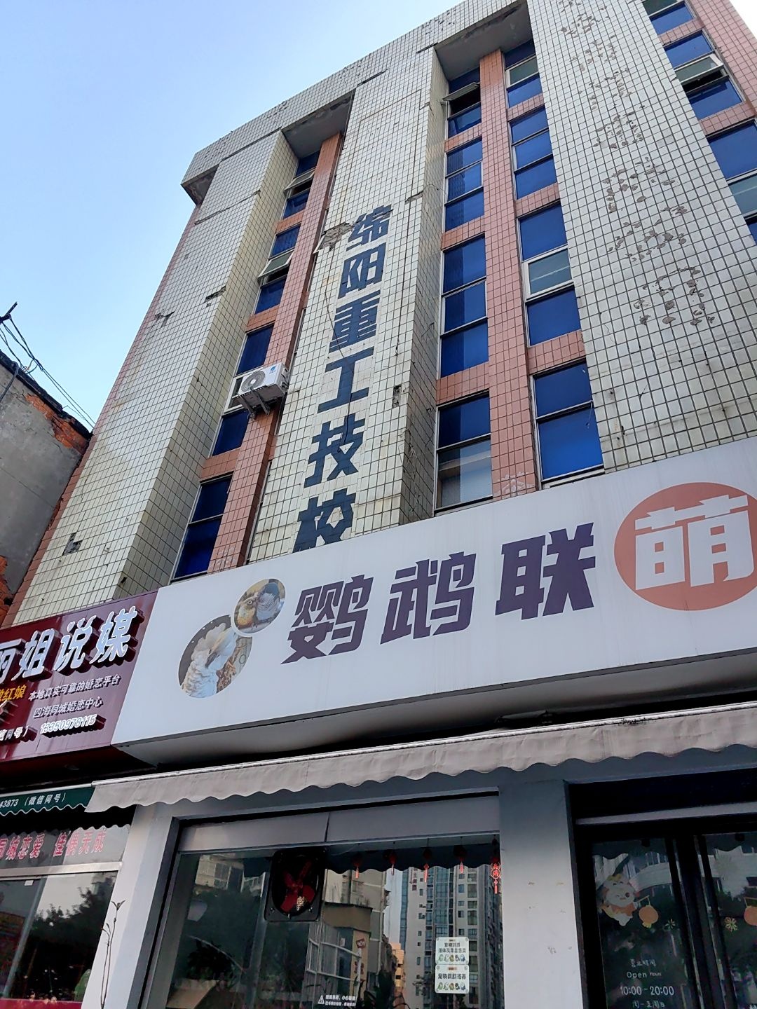 鹦鹉联萌