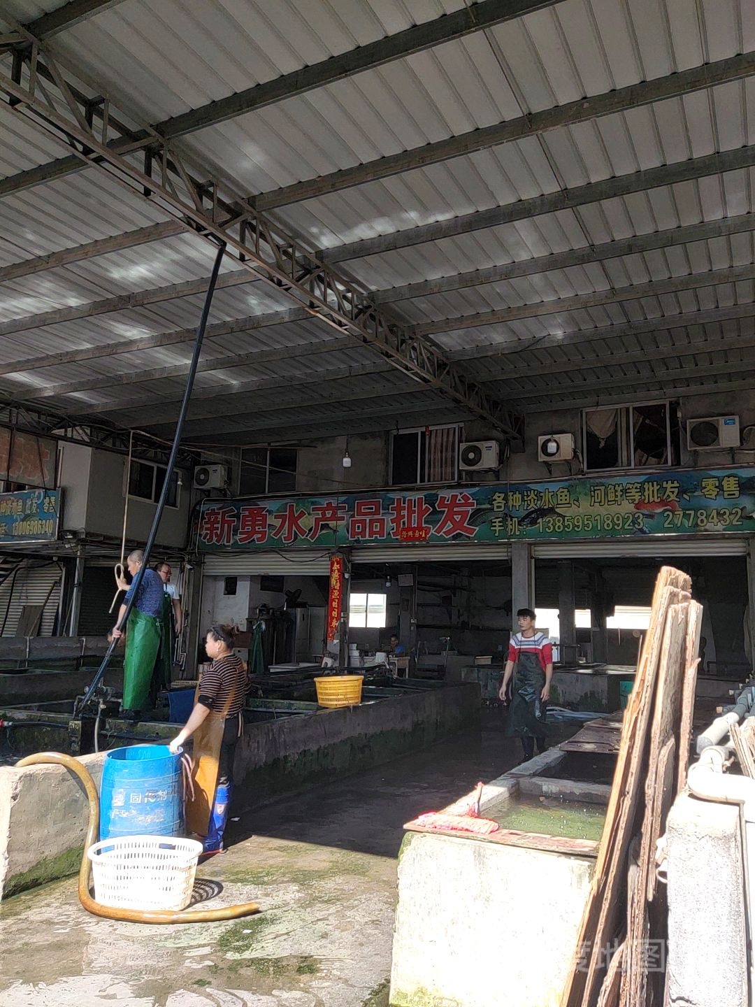 新勇水产品批发