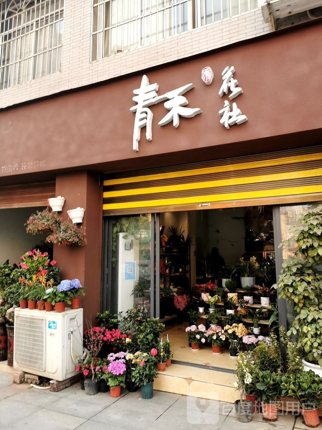青禾社