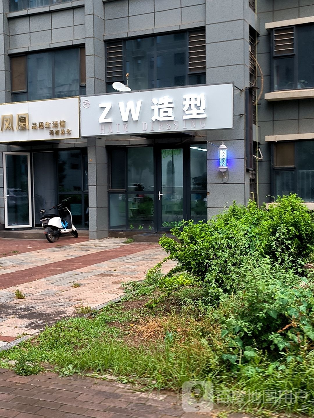 ZW号造型