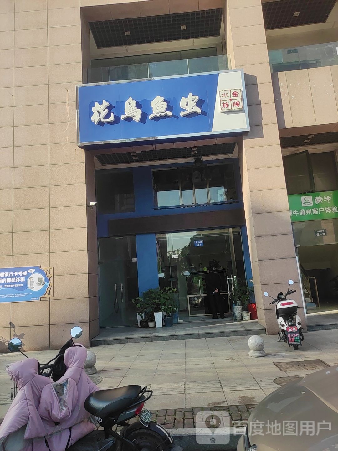 花鸟鱼虫水族金牌