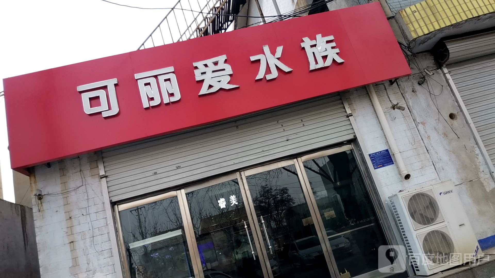 可爱丽水族(市府路店)