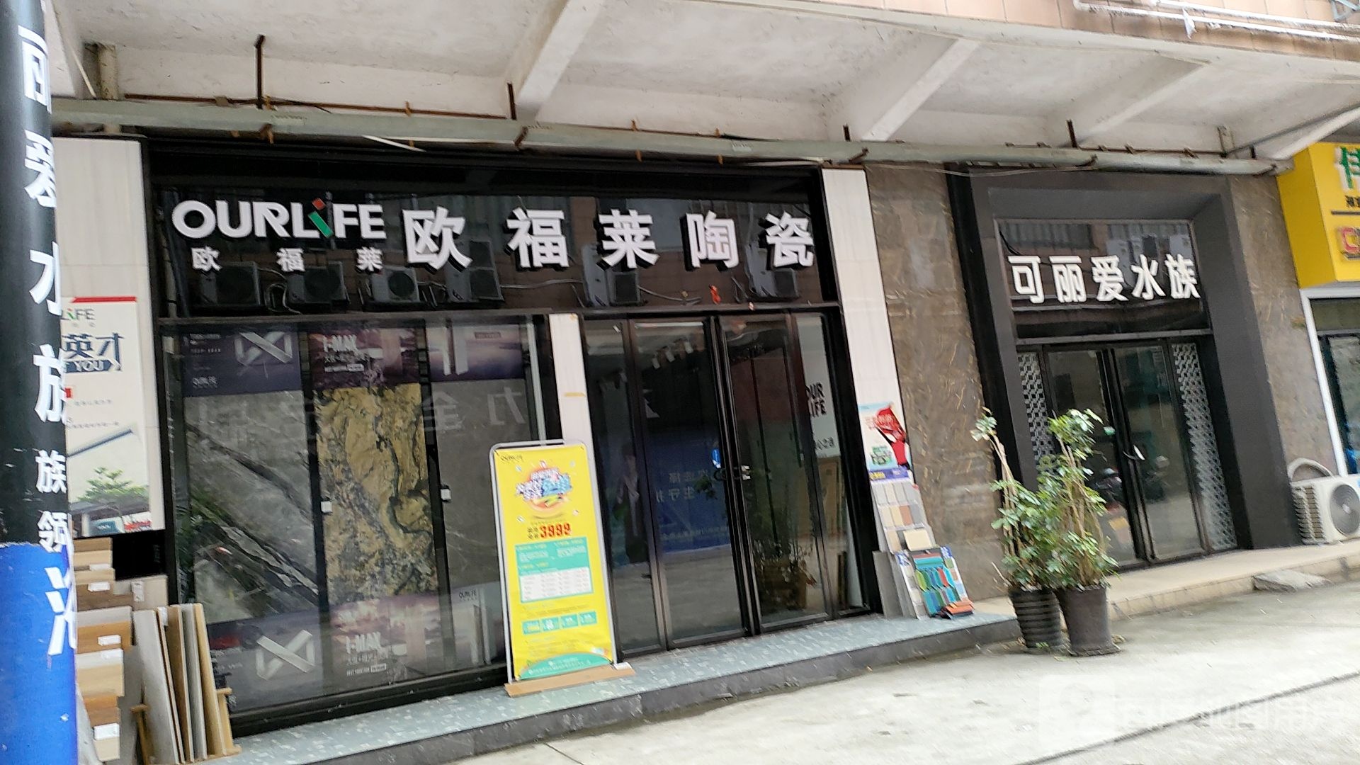 可丽爱水族(湘发建材城店)