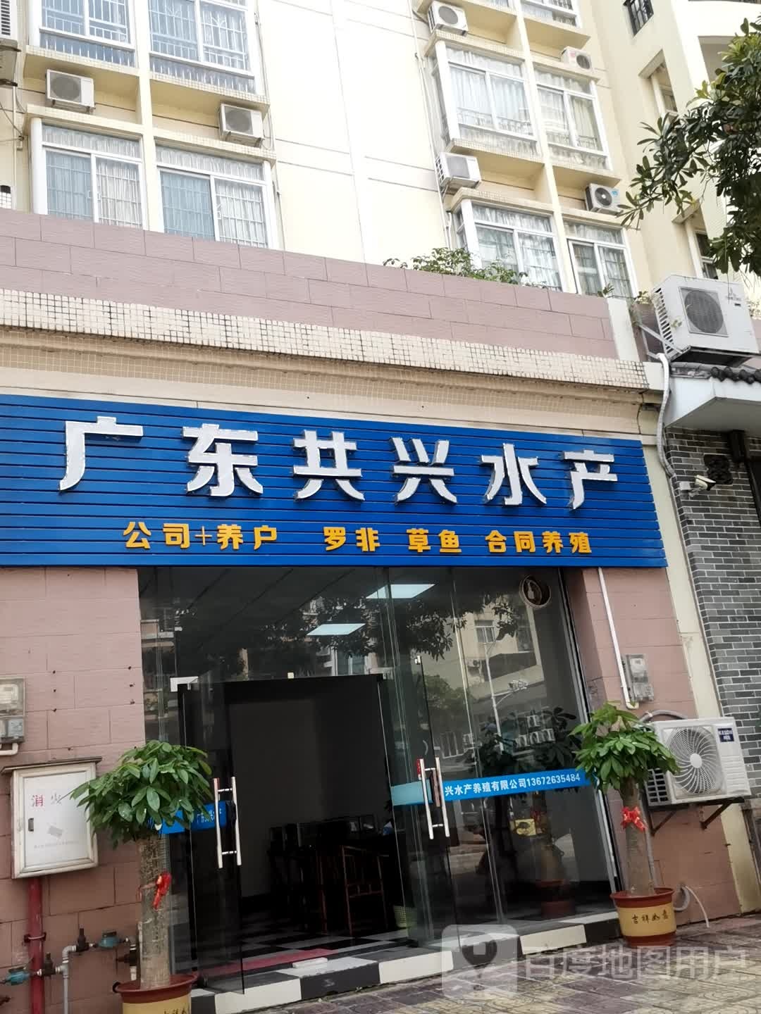 广东共兴水产(翔顺花园二区店)