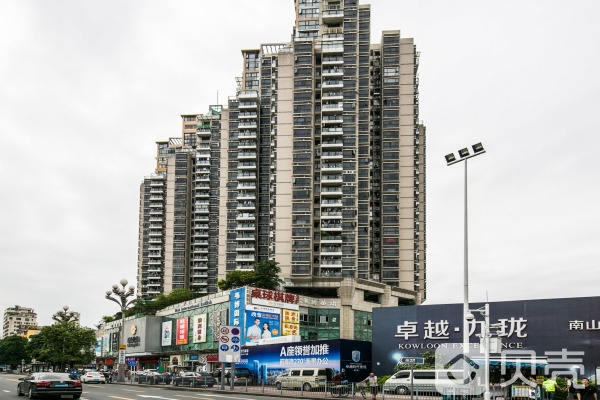 前海金岸