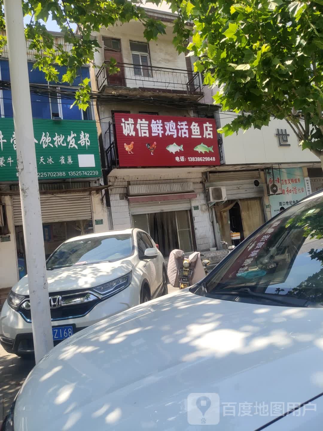 诚信鲜鸡活鱼店