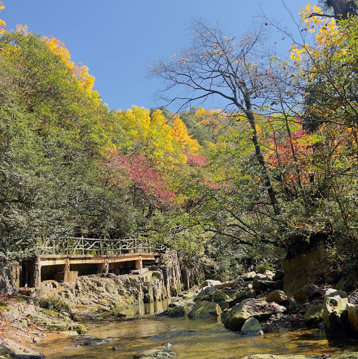 小草坝生态旅游区