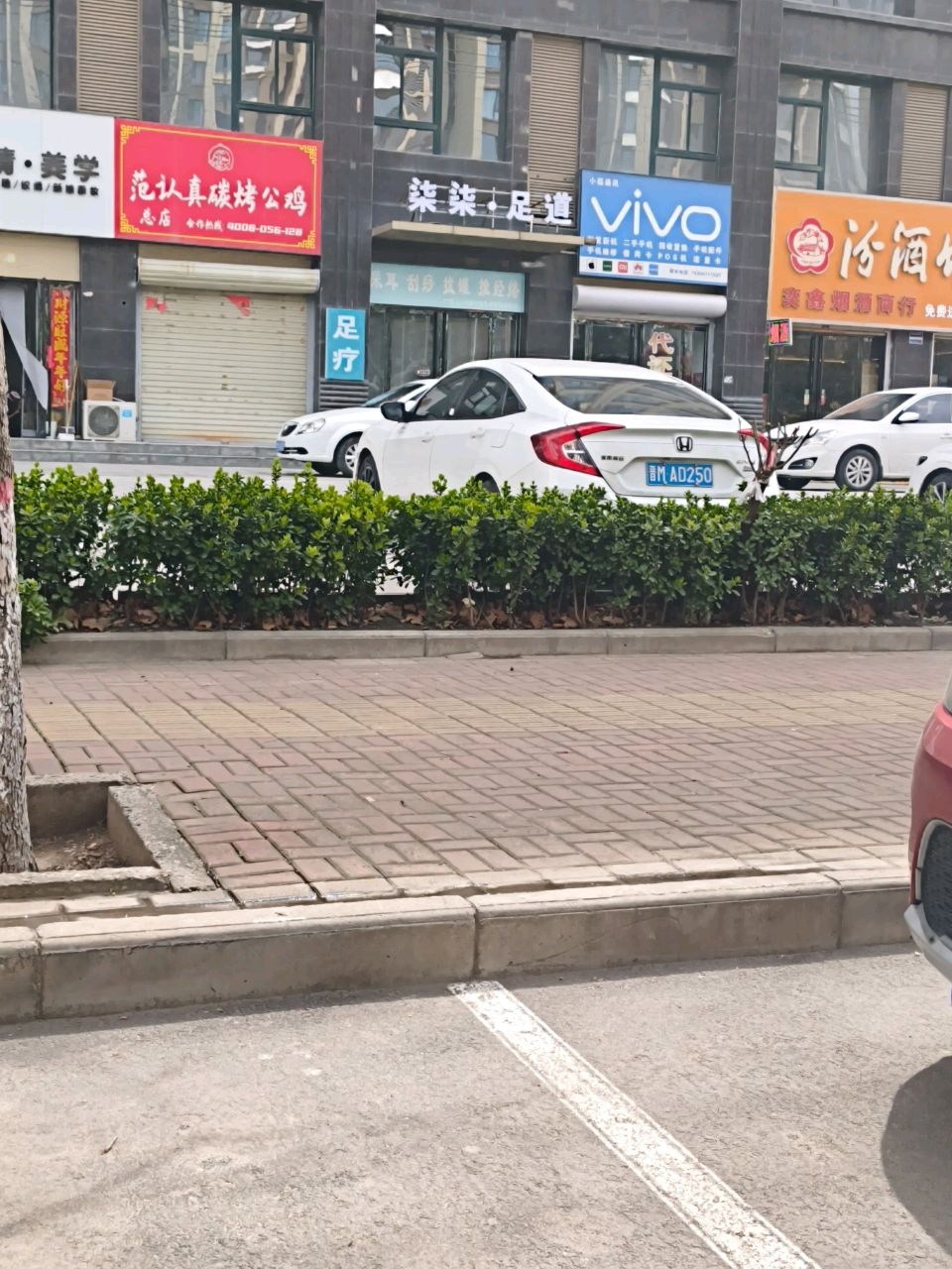 晓倩·美学